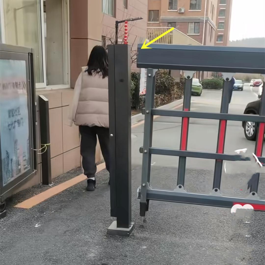 第1192页