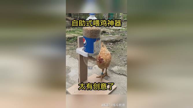 2025年4月3日 第9页