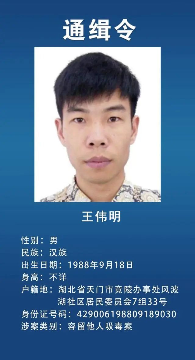 雾中仙子 第2页