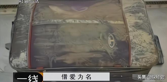 2025年4月9日 第5页
