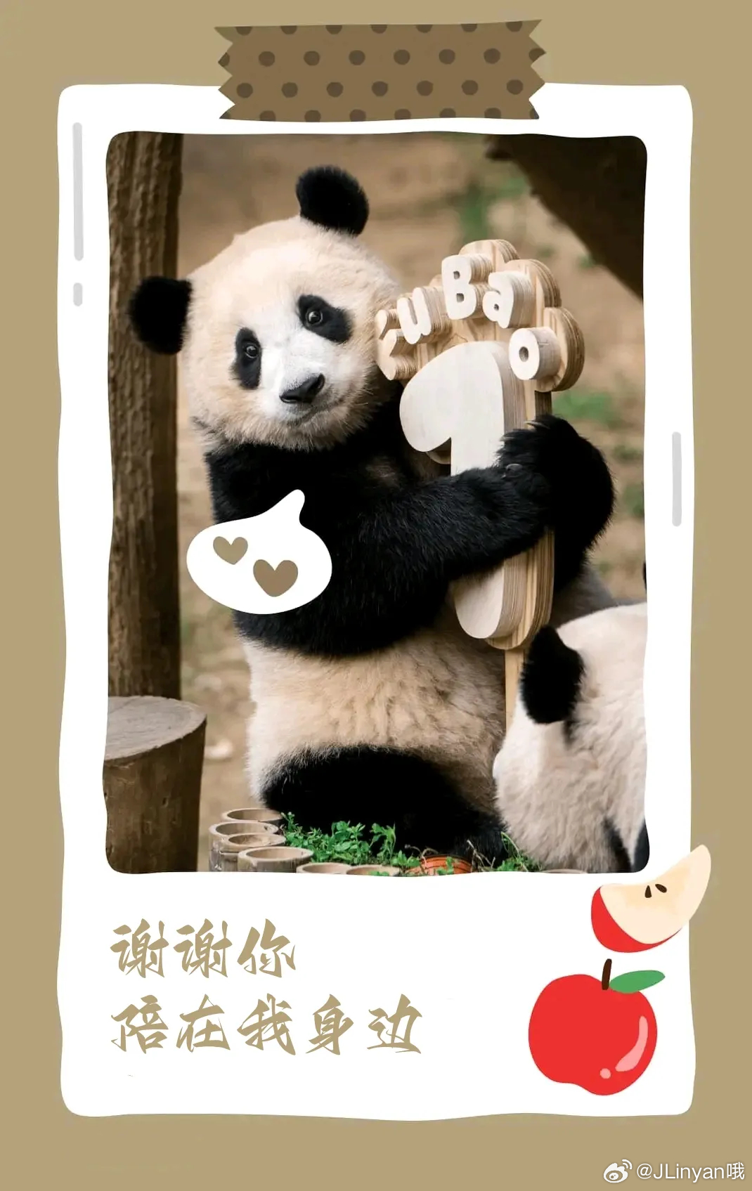 喃城旧梦
