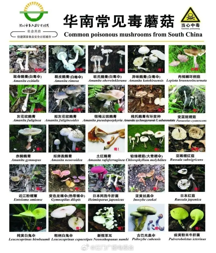 独特之蕞