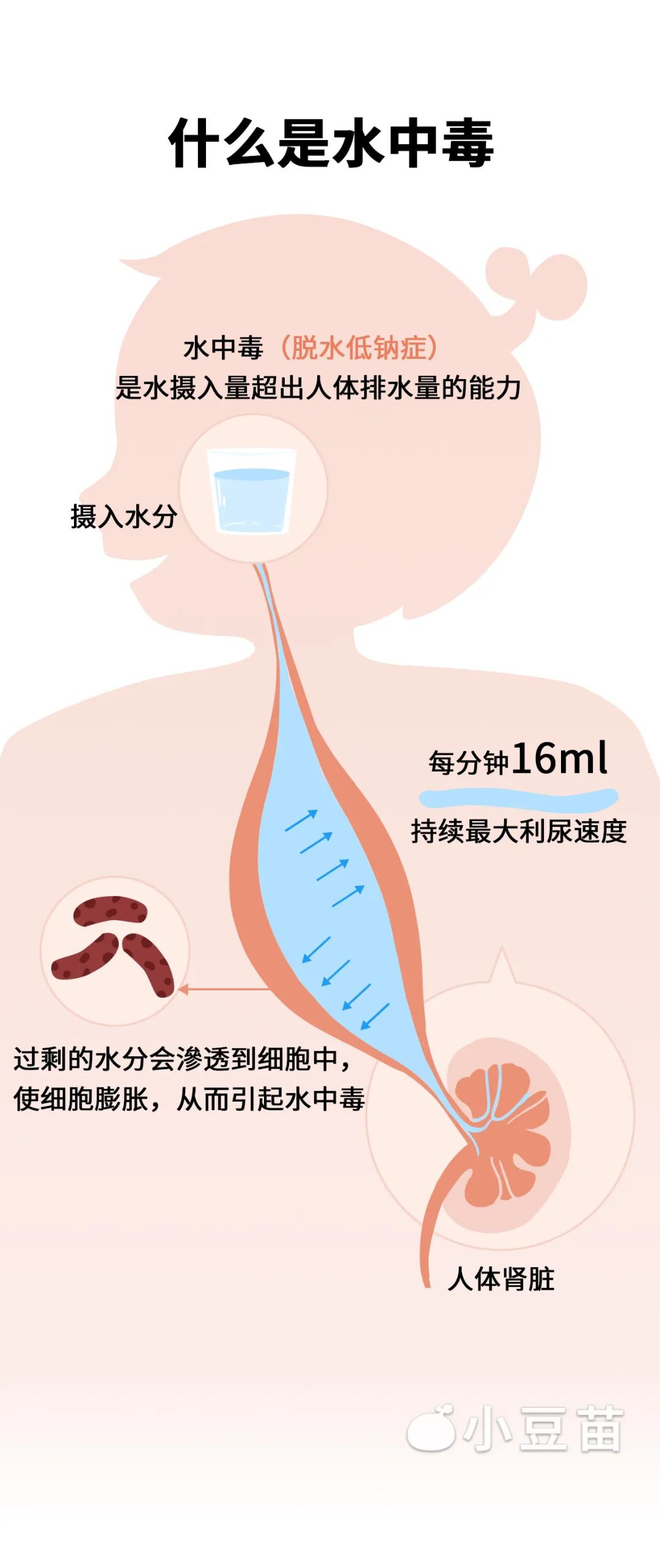 梦寐以求的温柔
