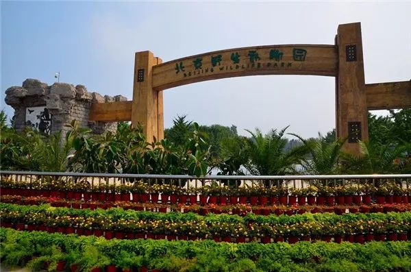 姐不吃这招丶