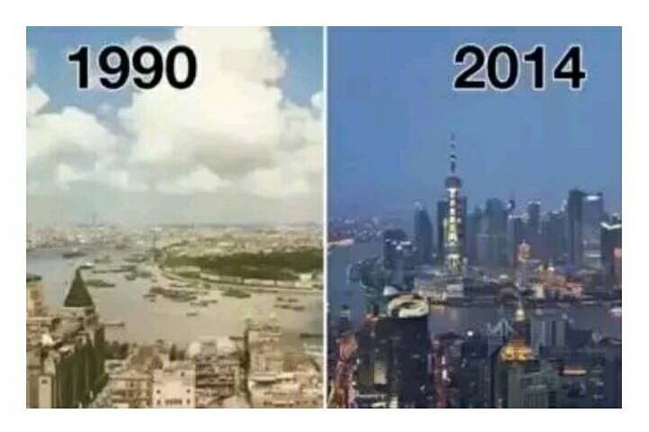 香椿丛林